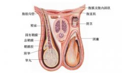 长治泌尿专科医院